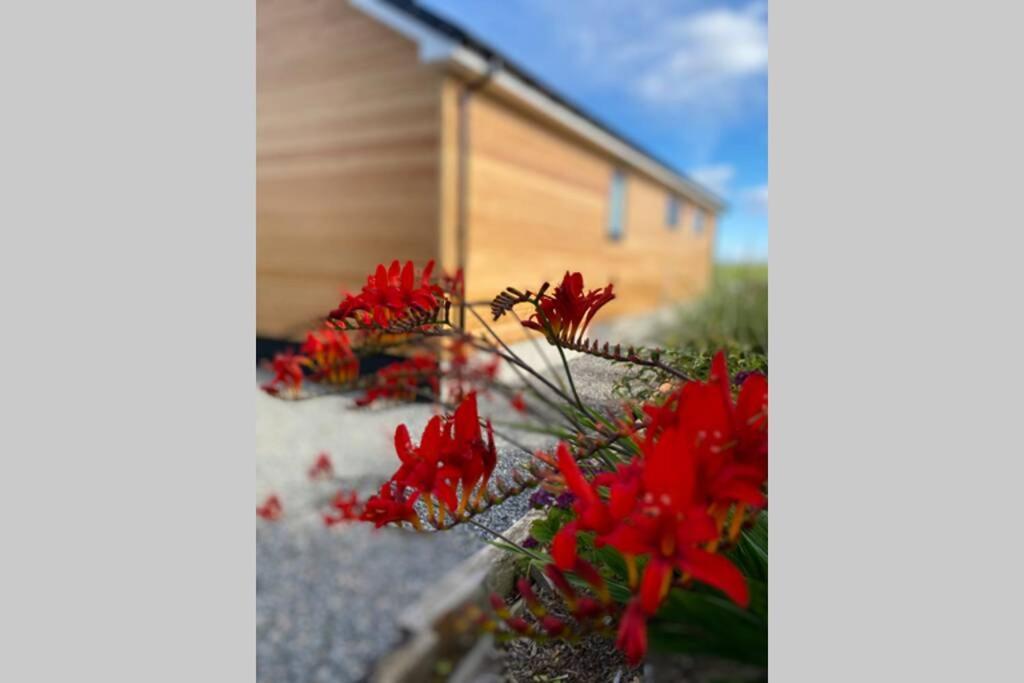 The Gallafield, Self Catering Bungalow , Stornoway Сторновэй Экстерьер фото